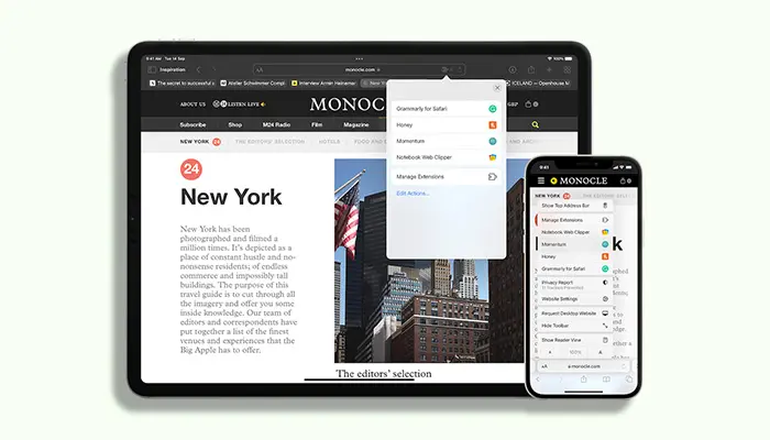 safari extension ipad os 15